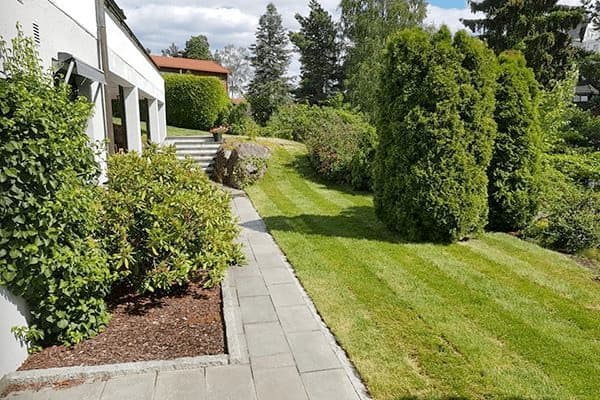 Grøntanlegg
